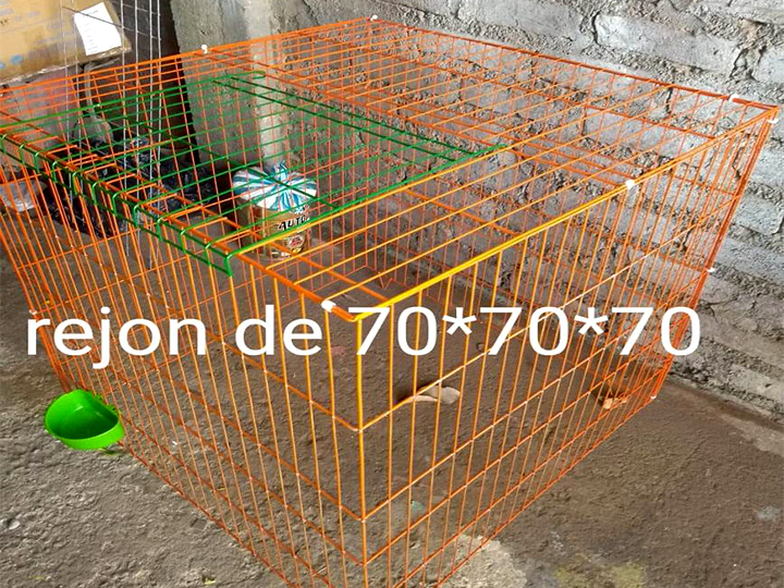 Rejon 70*70*70